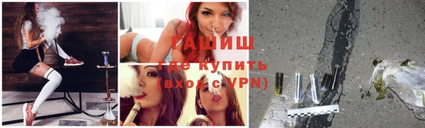 гашик Алексин