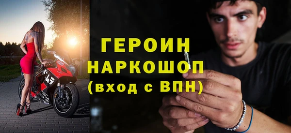 гашик Алексин