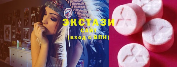 гашик Алексин