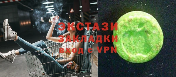 гашик Алексин