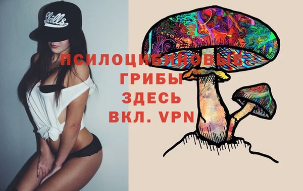 гашик Алексин