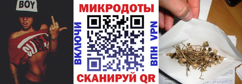 Галлюциногенные грибы прущие грибы  Старая Русса 